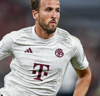 热烈追捧 热烈追捧