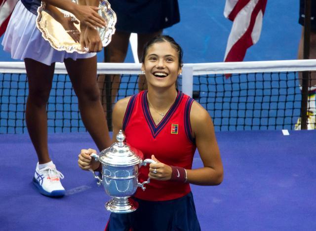 骑士采用了 骑士采用了