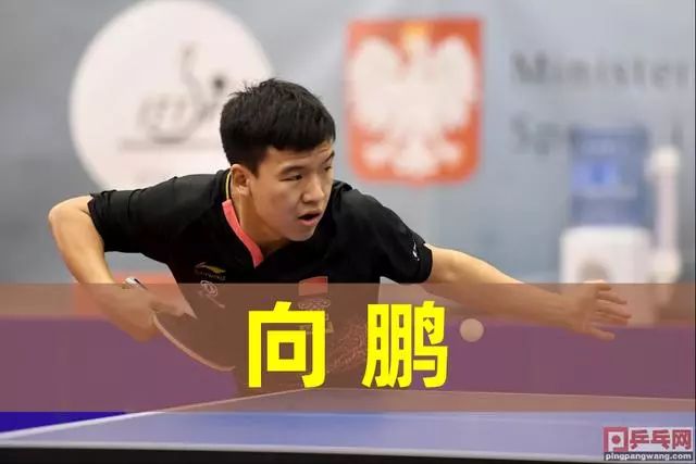 顿的后防线 顿的后防线